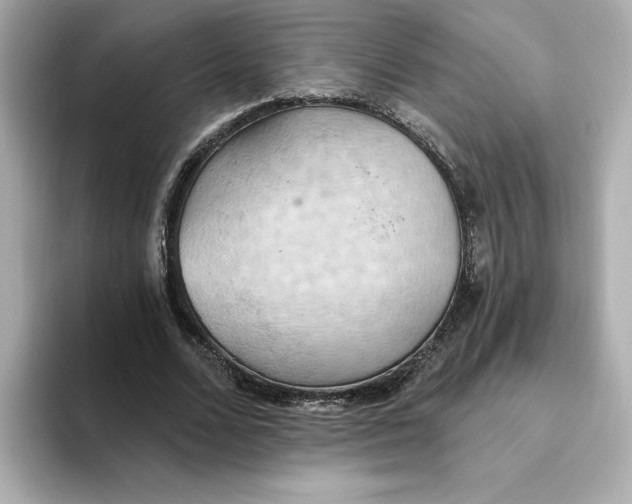 X0000093520680200711021046