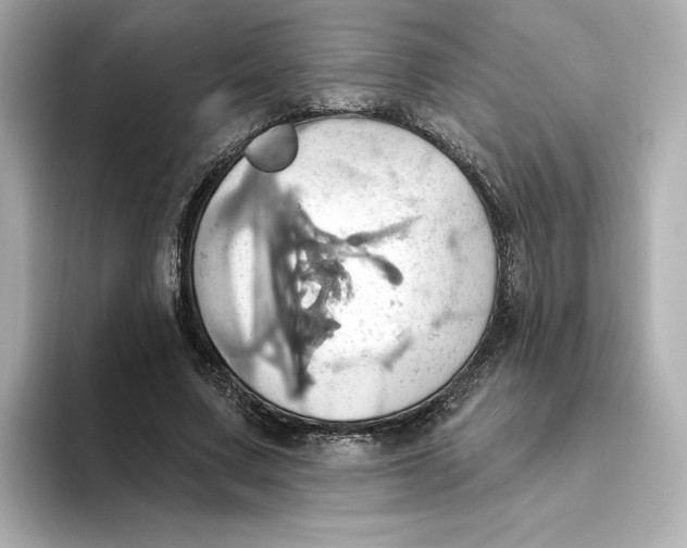 X0000093520683200711021046