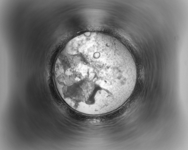 X0000093520687200711021046