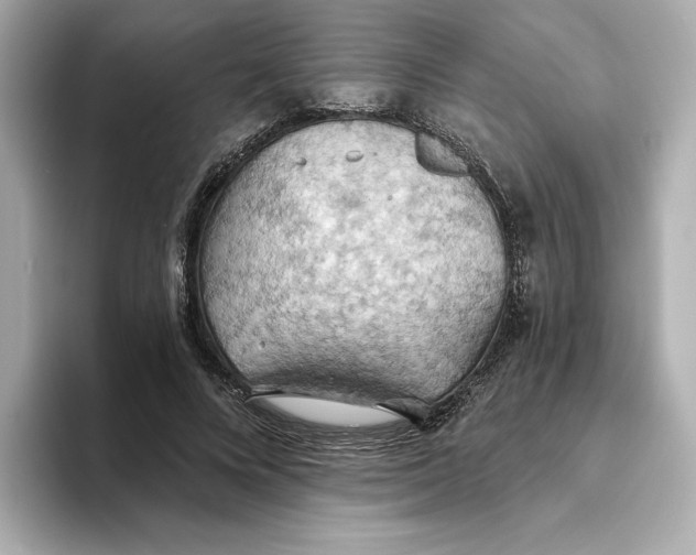 X0000093520688200711021046