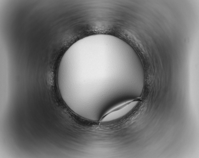 X0000093520689200711021046