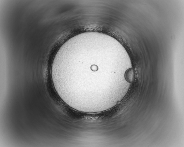 X0000093520690200711021046