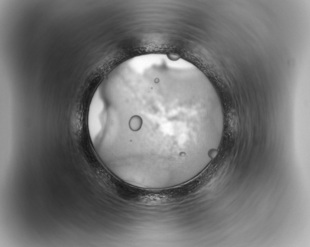 X0000093520691200711021046