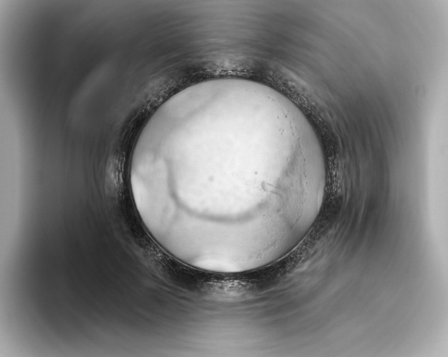 X0000093520695200711021046