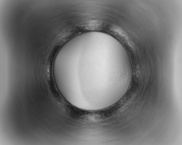 X0000093520696200711021046