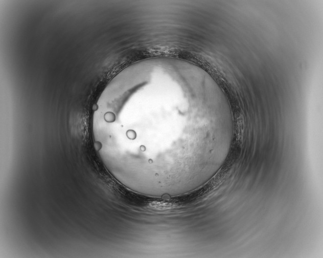 X0000093520699200711021046