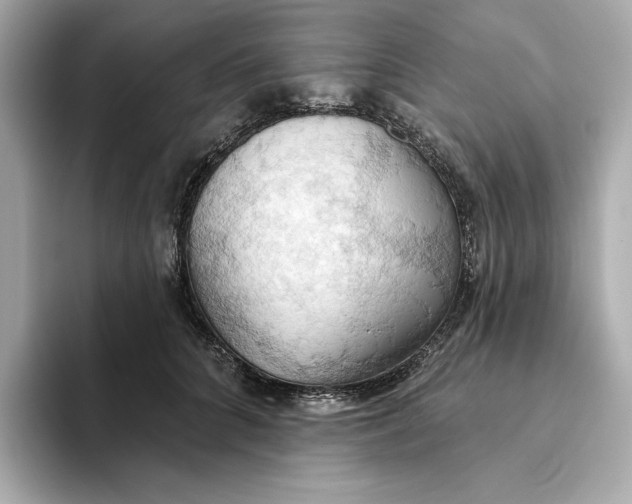 X0000093520704200711021046