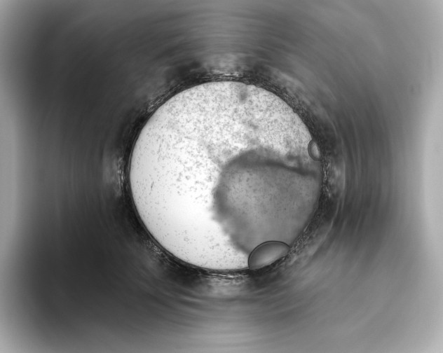 X0000093520707200711021046