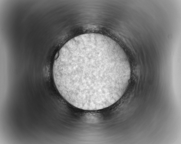 X0000093520708200711021046