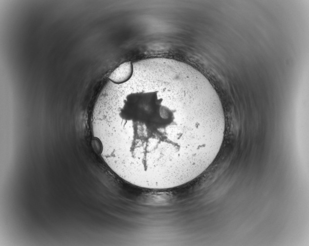 X0000093520711200711021046