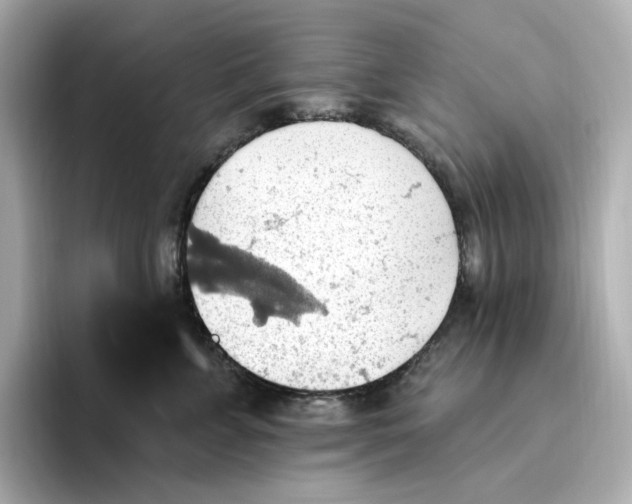 X0000093520715200711021046