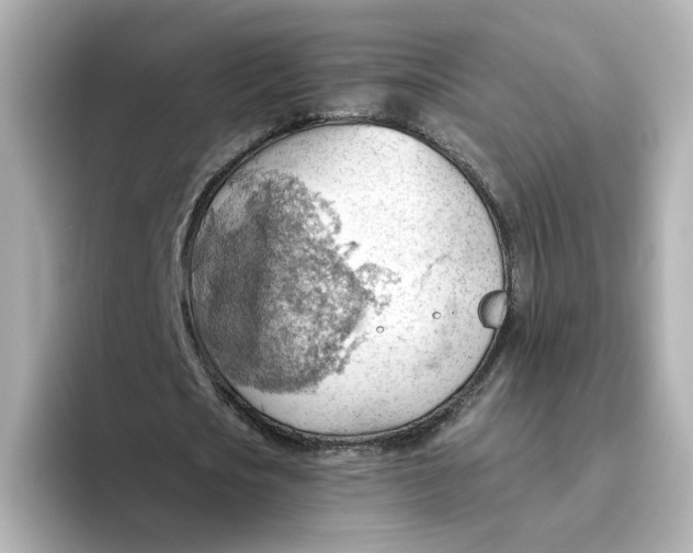 X0000093520721200711021045