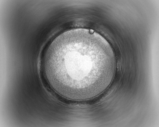 X0000093520722200711021045