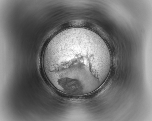 X0000093520725200711021045