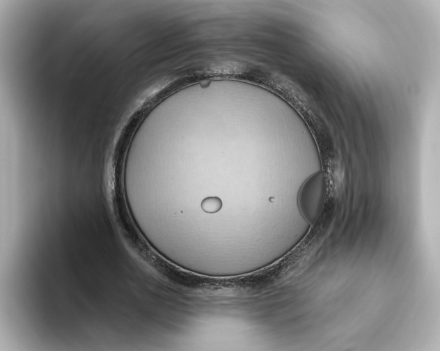 X0000093520726200711021045