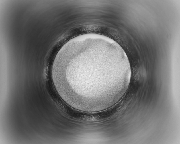 X0000093520735200711021045