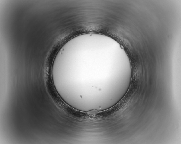 X0000093520736200711021045