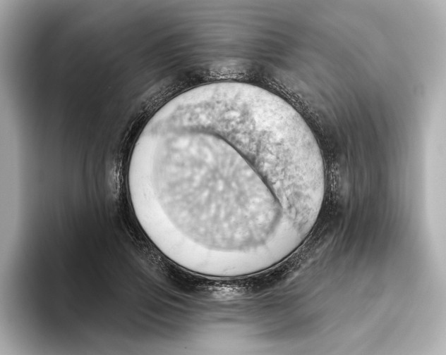 X0000093520741200711021046