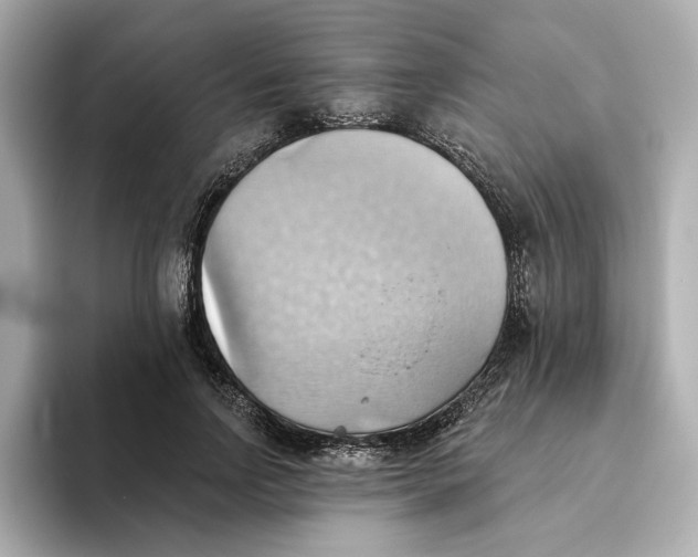 X0000093520742200711021046