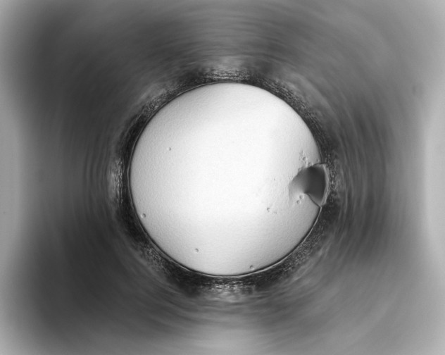 X0000093520744200711021046