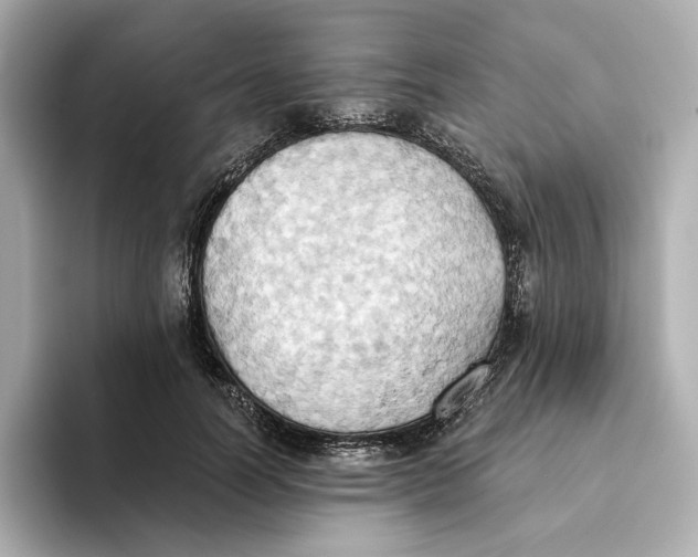 X0000093520746200711021046