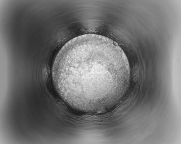 X0000093520747200711021046