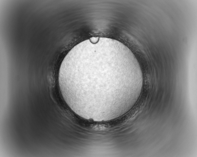 X0000093520751200711021046