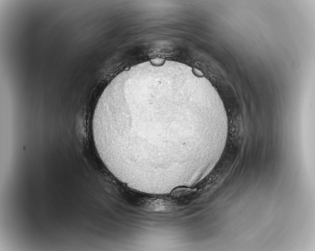 X0000093520755200711021046