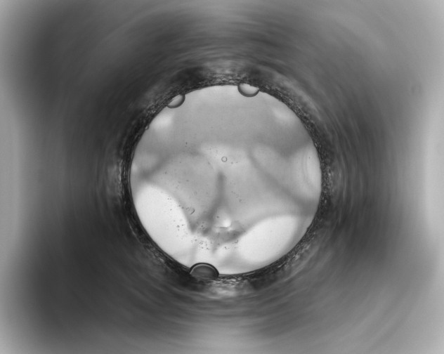 X0000093520757200711021046