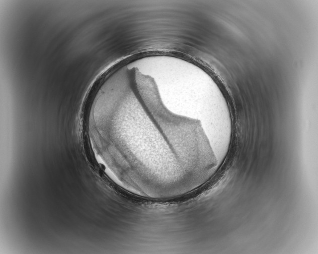 X0000093520779200711021045