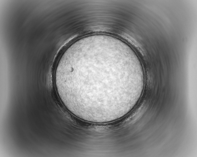 X0000093520782200711021045