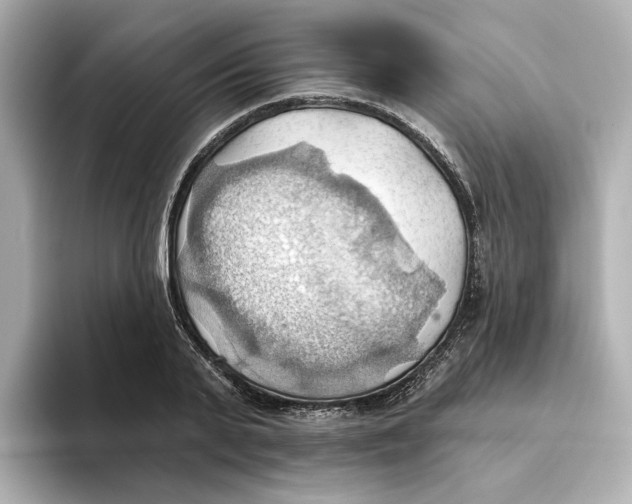 X0000093520791200711021045