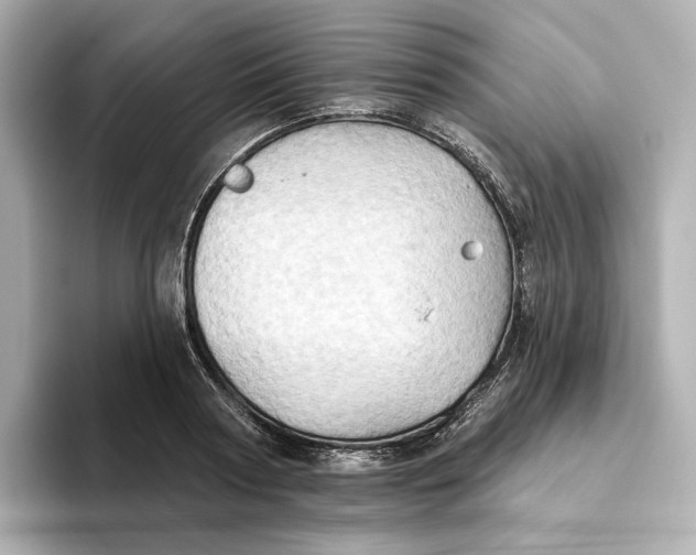 X0000093520794200711021045