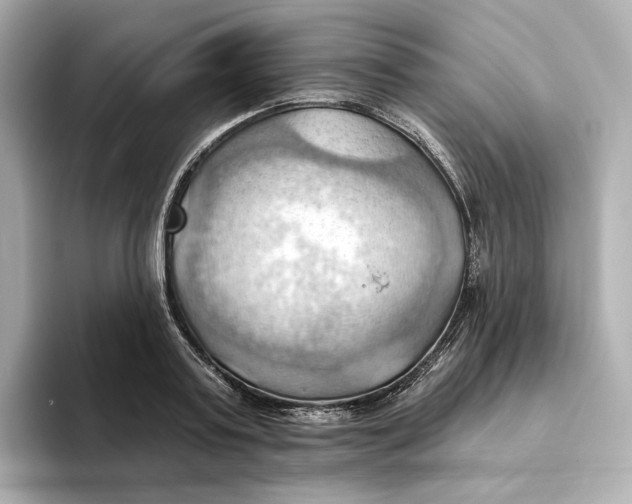 X0000093520795200711021045