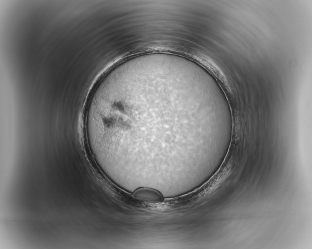 X0000093520798200711021045