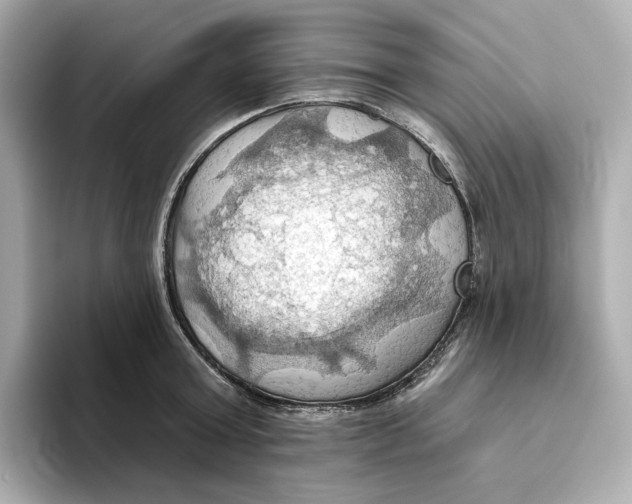 X0000093520803200711021045