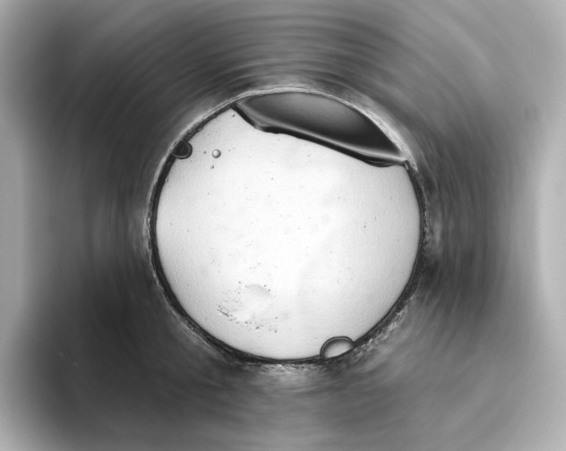 X0000093520805200711021045