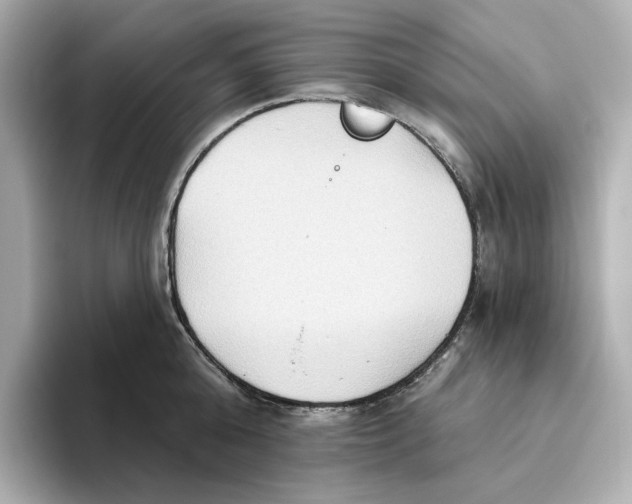 X0000093520808200711021045