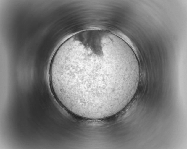 X0000093520811200711021045