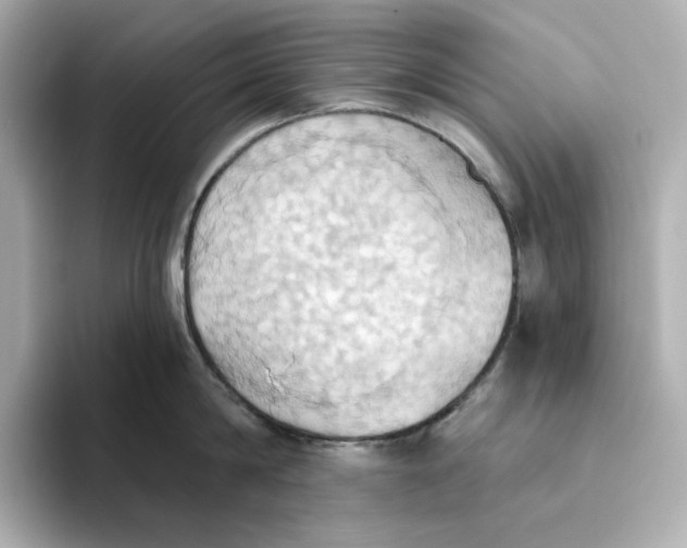 X0000093520814200711021045