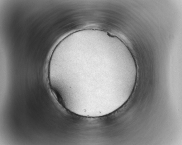 X0000093520816200711021045