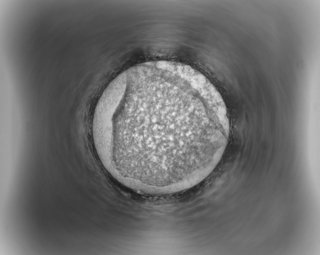 X0000093520817200711021044