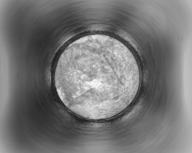 X0000093520829200711021044