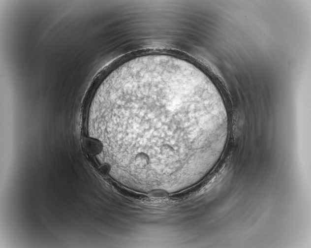 X0000093520831200711021044