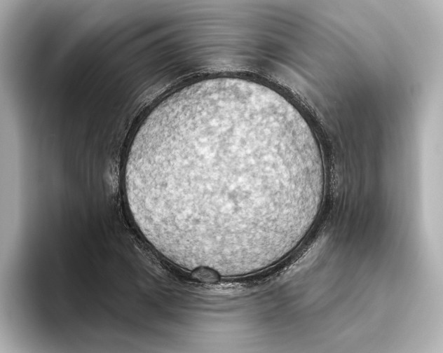 X0000093520833200711021044