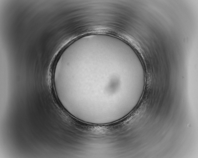 X0000093520835200711021044