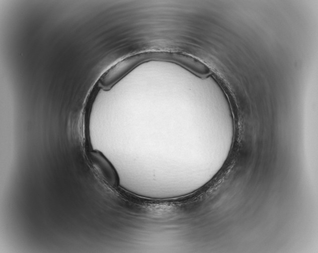 X0000093520838200711021044