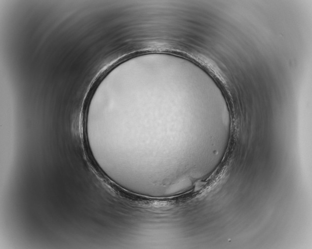 X0000093520839200711021044