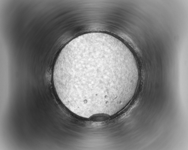 X0000093520841200711021044