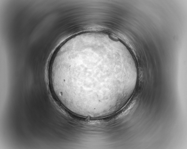 X0000093520843200711021044